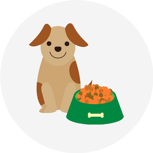 4pets.pk Online Pets Shop in Karachi, Pakistan