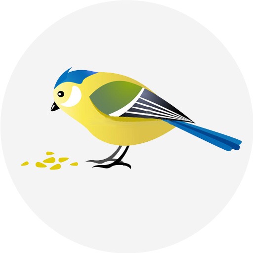 4pets.pk Online Pets Shop in Karachi, Pakistan