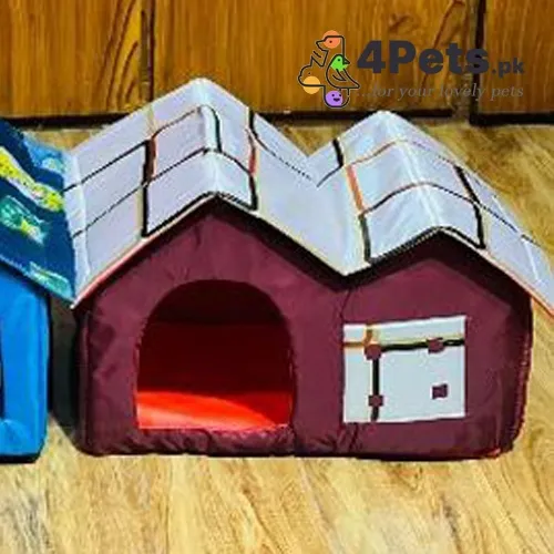 Cat Double Hut Houes