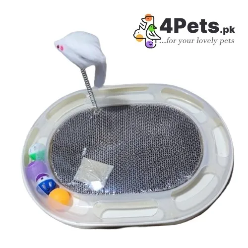 Cat Scratcher With Balls Track Toy