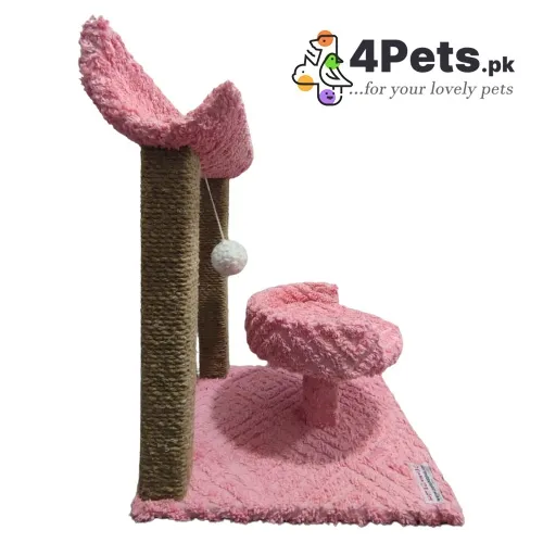 Best Price Cat Scratching Post Curve and Bed