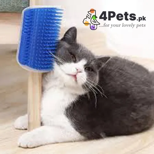 Best Price Cat Self Groomer with Catnip