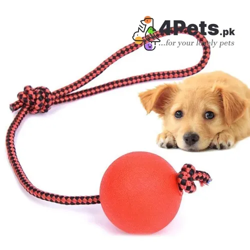 Best Price Dog Rubber Red Ball With Rope