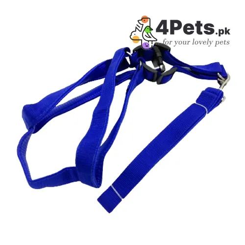 Best Price Dog Soft Harness and Leash Set Large