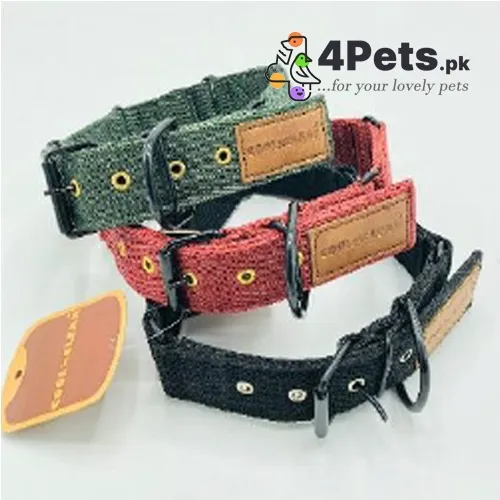 Best Price Dog Stronge Web Collar CC