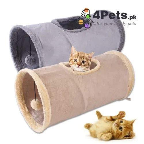Kitten Tunnel Small