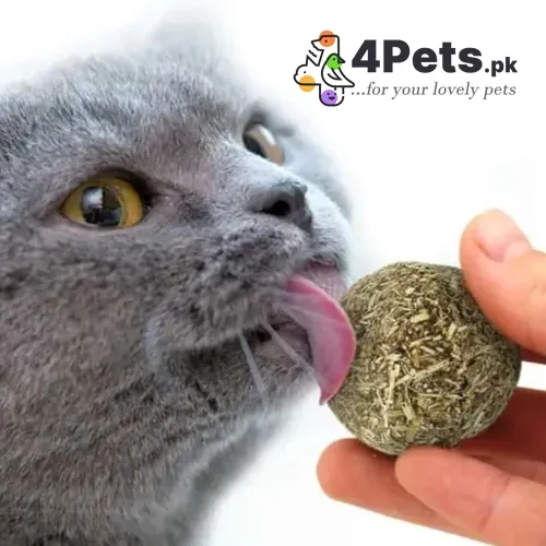 Natural Catnip Ball For Cat