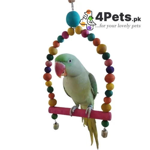 Parrot Toy D-swing Large