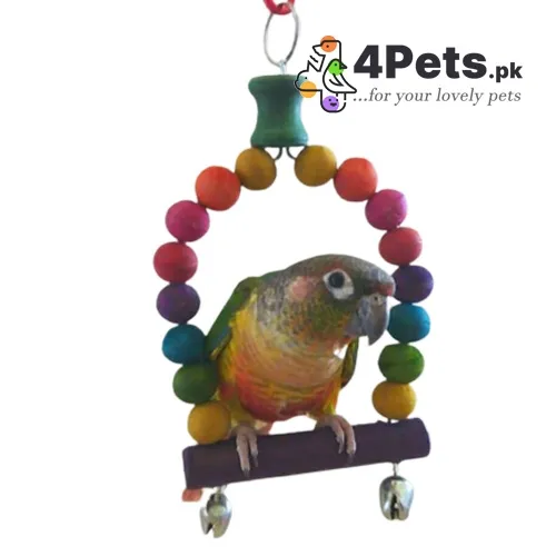 Parrot Toy D-swing Small