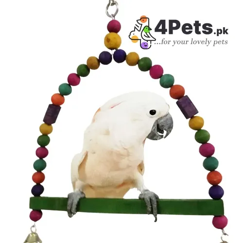 Parrot Toy D-swing Xxl