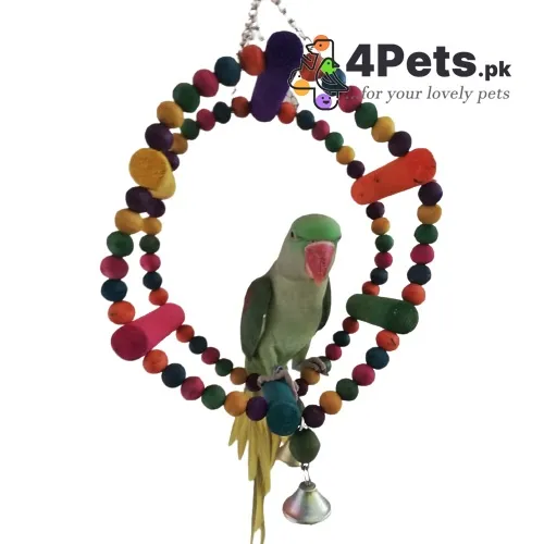 Parrot Toy Wheel Swing