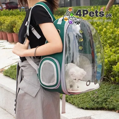  Pet Carrier Backpack Plain