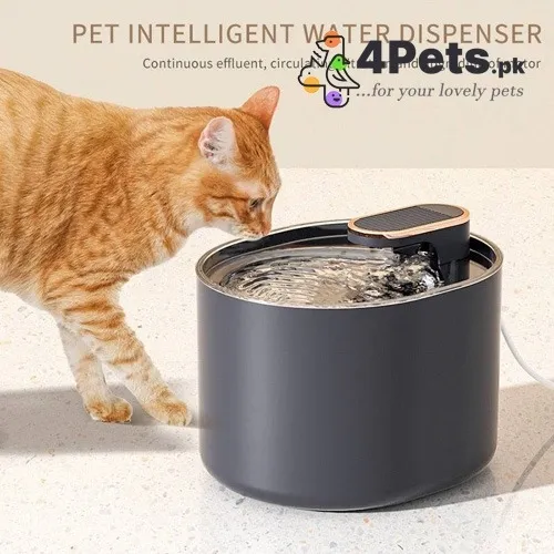 Best Price Pet Water Fountain Black