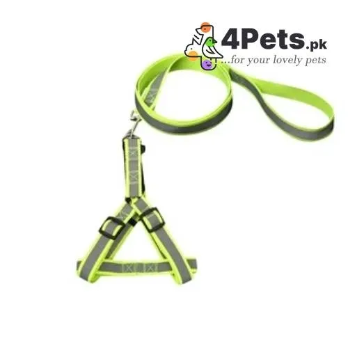 Reflective Harness For Cats
