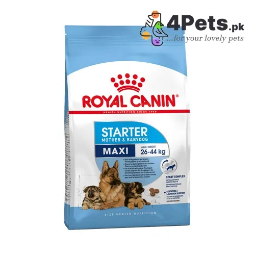 Royal Canin Maxi Starter - Mother And Baby Dog - 4kg